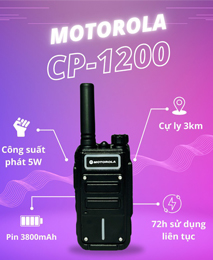 Cp1200213
